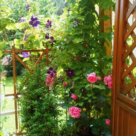 Apartment Mit Gartenblick Eckersdorf 外观 照片