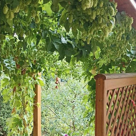 Apartment Mit Gartenblick Eckersdorf 外观 照片