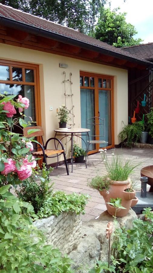 Apartment Mit Gartenblick Eckersdorf 外观 照片