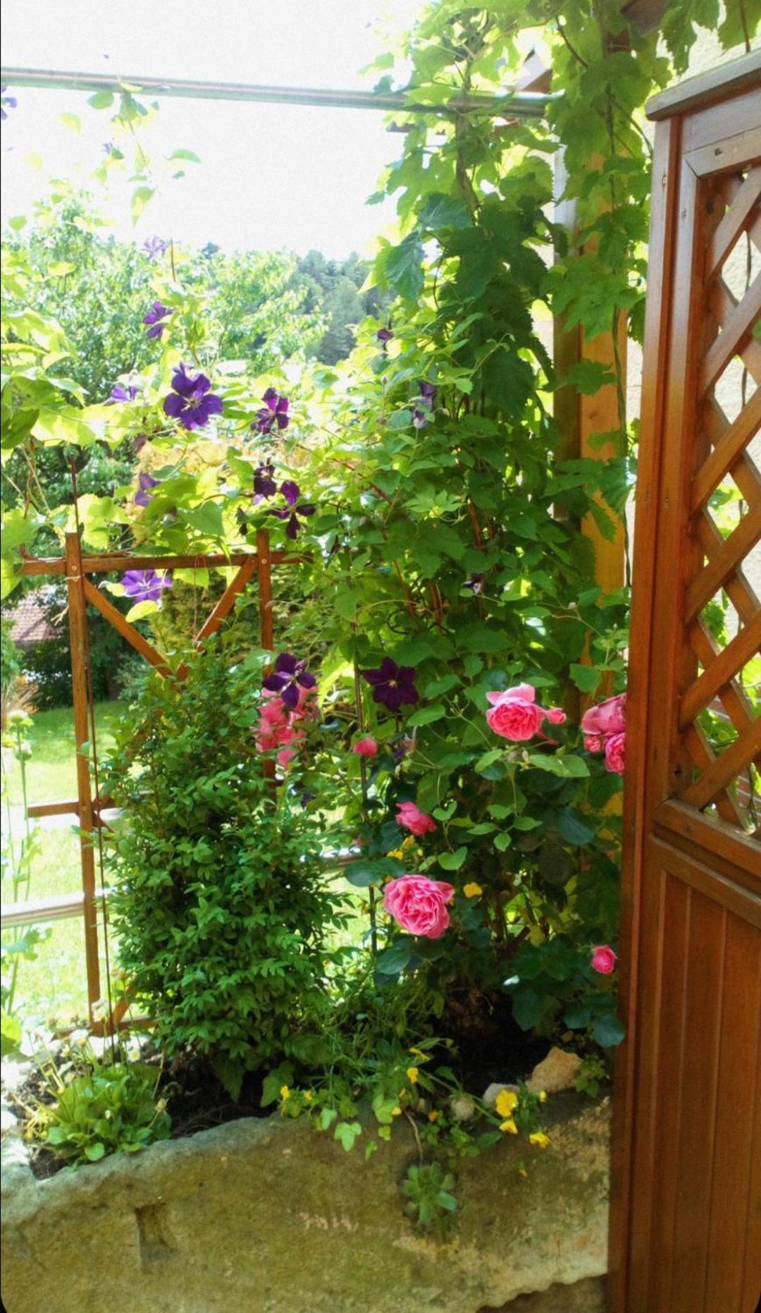 Apartment Mit Gartenblick Eckersdorf 外观 照片