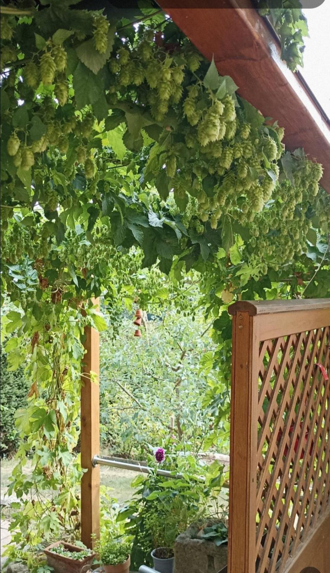 Apartment Mit Gartenblick Eckersdorf 外观 照片