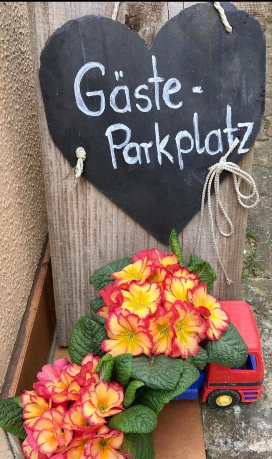 Apartment Mit Gartenblick Eckersdorf 外观 照片