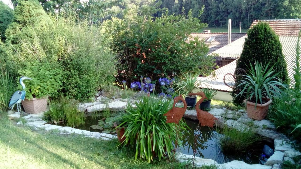 Apartment Mit Gartenblick Eckersdorf 外观 照片