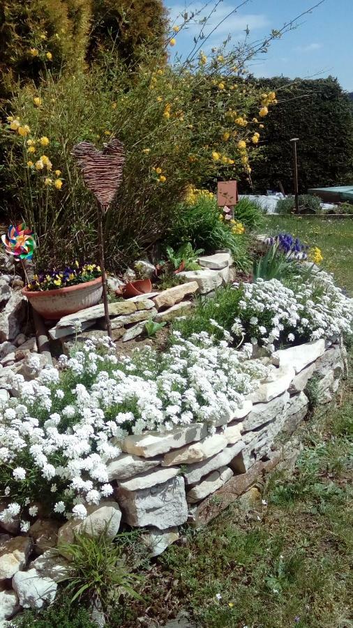 Apartment Mit Gartenblick Eckersdorf 外观 照片