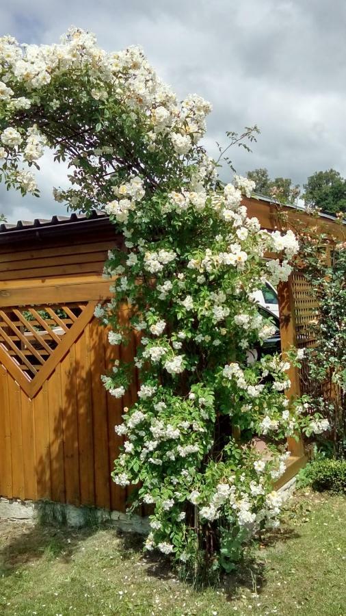 Apartment Mit Gartenblick Eckersdorf 外观 照片