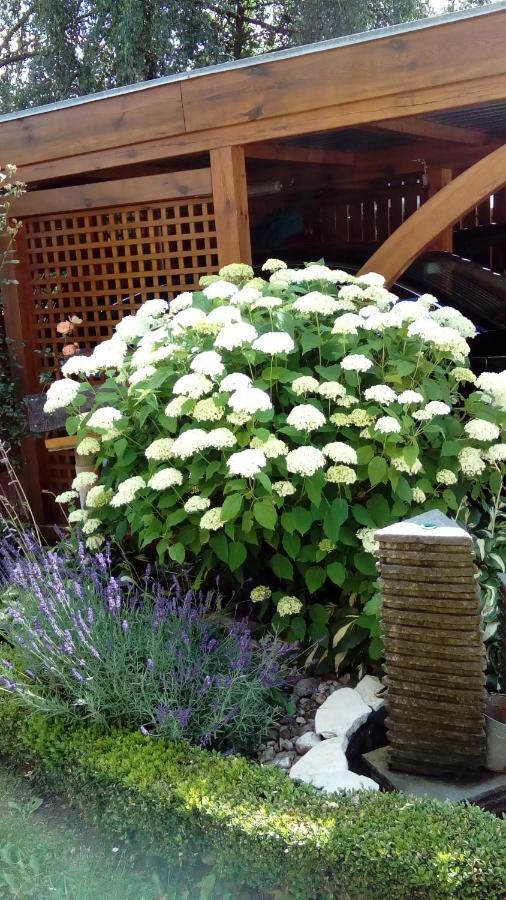 Apartment Mit Gartenblick Eckersdorf 外观 照片