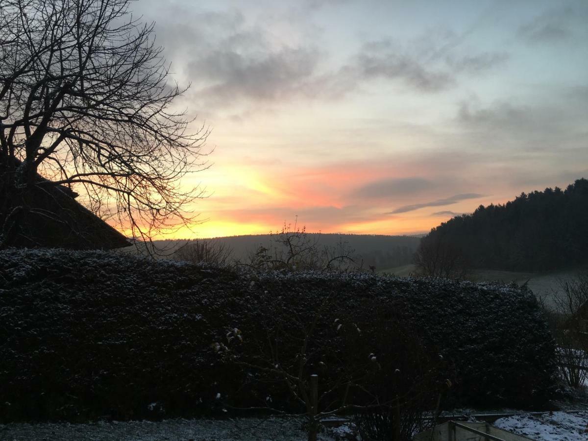 Apartment Mit Gartenblick Eckersdorf 外观 照片