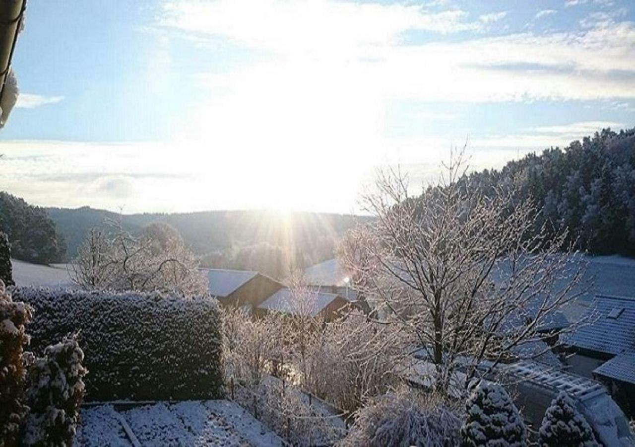 Apartment Mit Gartenblick Eckersdorf 外观 照片